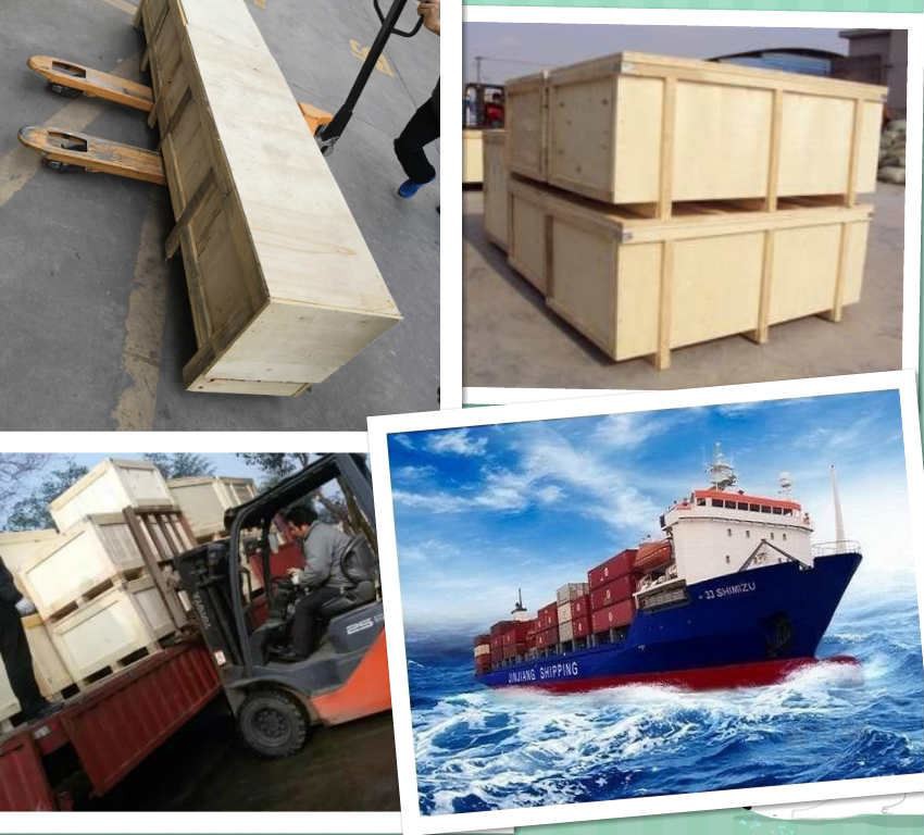 Delivery Shipping and Service